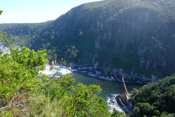 Tsitikamma Nationalpark