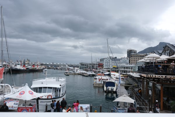 Rugby an der Waterfront